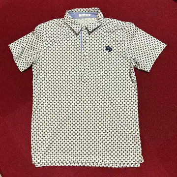 페어리 파우더 남성용 골프 셔츠