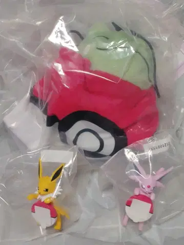 2025 포켓몬 컬렉션 복권 E상 F상 세트