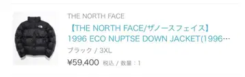 THE NORTH FACE 1996 ECO NUPTSE DOWN