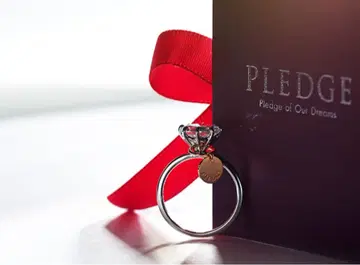 니와카 NIWAKA 반지