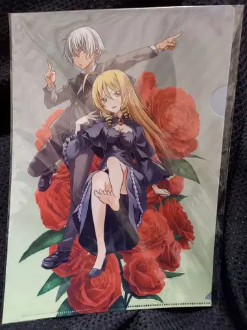 하야테처럼! 10권 특전 클리어 파일 브로마이드