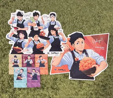 하이큐!! 오토야 콜라보 비주얼 보드 집합 사와무라 다이치 묶음 판매