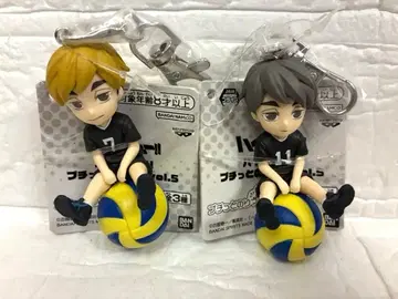 하이큐!! 푸칫토노리마스 Vol.5 미야 아츠무 미야 오사무