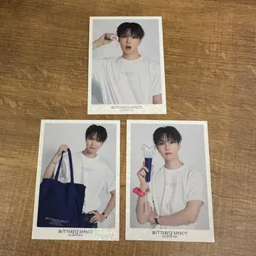 호리 나츠키 포토 카드 시크레