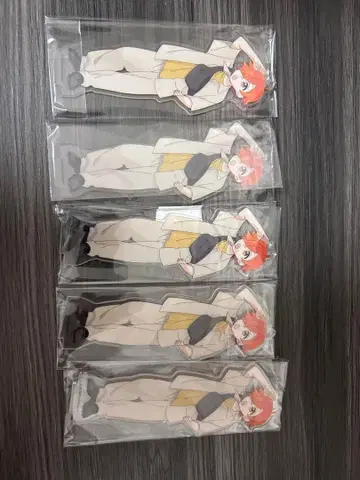 일상조 페인트 씨 아크릴 스탠드 5개