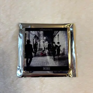 Acid Black Cherry 랜덤 아크릴 마그넷 INCUBUS