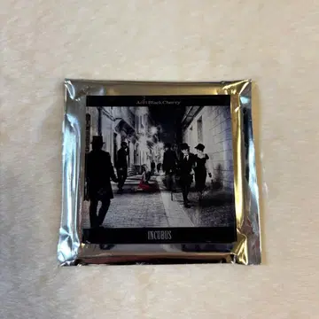 Acid Black Cherry 랜덤 아크릴 마그넷 INCUBUS