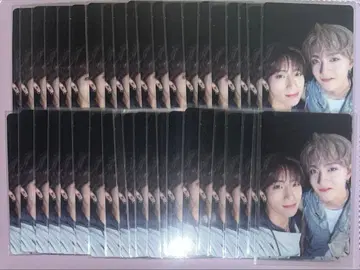 허풍범 타지마 쇼고 지오리 Theorigin 41장 세트