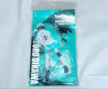 하이큐 합동 연습회 2021 아크릴 스탠드 오이카와