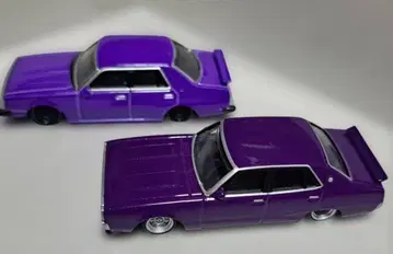 그란 챔피언 켄메리 미니카