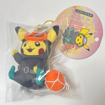 포켓몬 한국 제주 피카츄 수컷 공식 봉제 인형