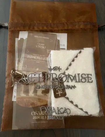 txt 업그레이드 혜택 act:promise encore in japan