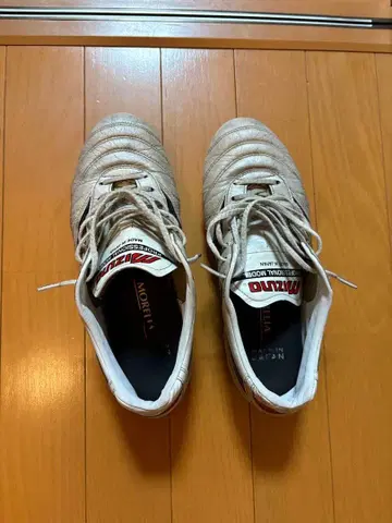 모렐리아 2 재팬