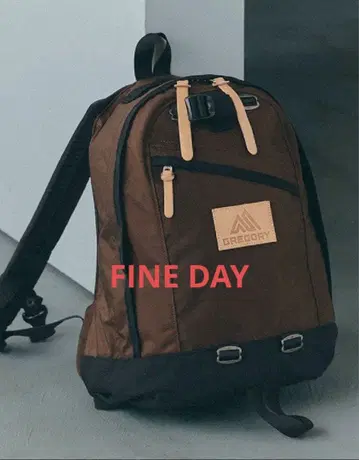 IL BISONTE GREGORY FINE DAY 일비종떼 그레고리