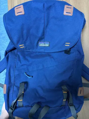 patagonia 파타고니아 아버 클래식 팩 25L