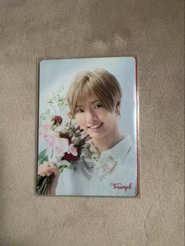 IMP. 사토 신 Triumph 트림프 오리지널 메시지 카드 2장 세트