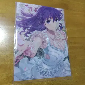 Fate stay night 20주년 기념 콘서트 A-4 클리어 파일