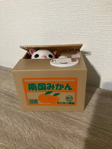 남국 밀감 힐링 고양이 저금통