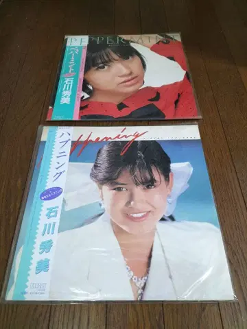 이시카와 히데미 LP 앨범 레코드 2장 세트 (중고품)