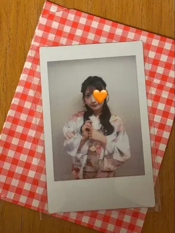 이기가리 도호쿠산 벚꽃 히나노 폴라로이드