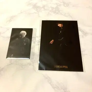 지파오페 Ambition 봉입 특전 후쿠자와 유우 씨