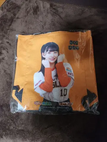 이기가리 도호쿠산. 사쿠라 히나노 라쿠텐 이글스 콜라보 E 백팩