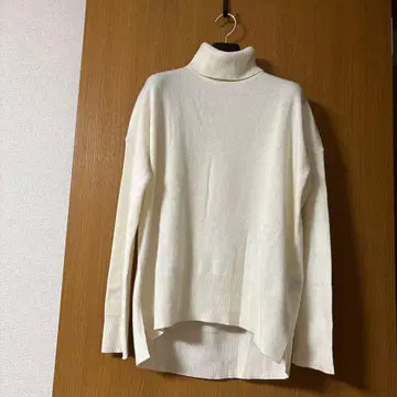 띠어리 터틀 아이보리