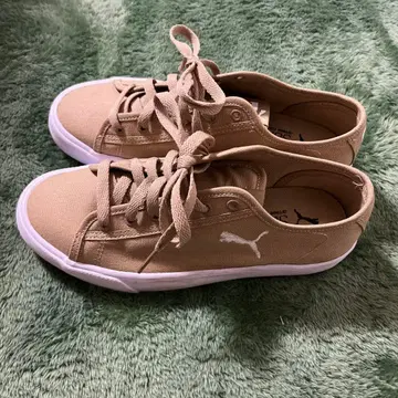 PUMA 캔버스 베이지 스니커즈