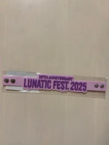 LUNATIC FEST 2025 러버 밴드