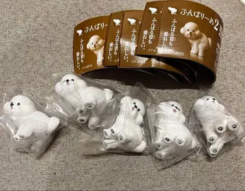 펀바리누 2 비숑 프리제 5개 세트