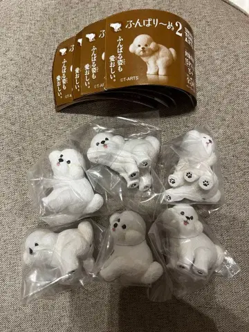 펀바리누 2 비숑 프리제 6개 세트