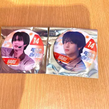 초특급 Re:ve 하루 캔뱃지 2개 세트