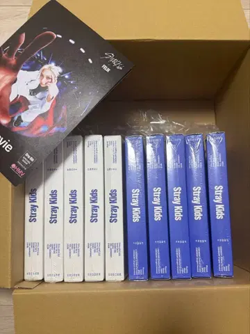 straykids 스키즈 KARMA 미개봉 10장