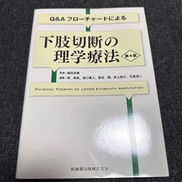 Q&A 플로우차트에 의한 하지 절단의 물리치료