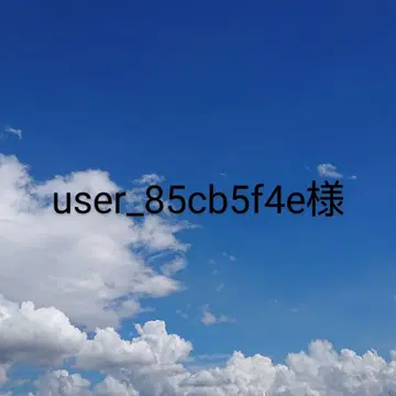 user_85cb5f4e님 브로치 2점