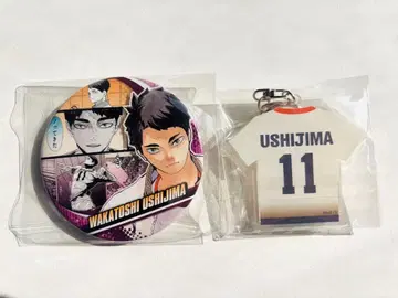 하이큐 우시지마 와카토시 캔뱃지 키링 세트