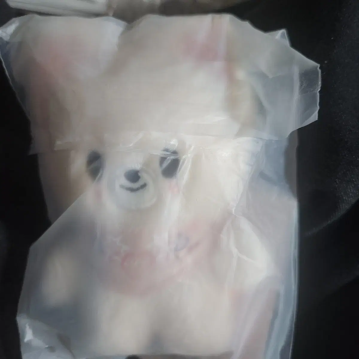 Ski zuu Kong zuu Five O'Clock Stray Kids doll Purim Foxini sell