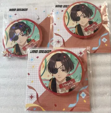 WIND BREAKER 벌스데이 홀로그램 캔뱃지 소방
