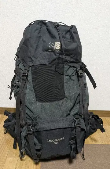 Cougar Apex 60+ 다크 그레이 백팩