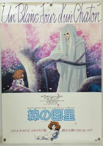 면의 나라별 B2 포스터