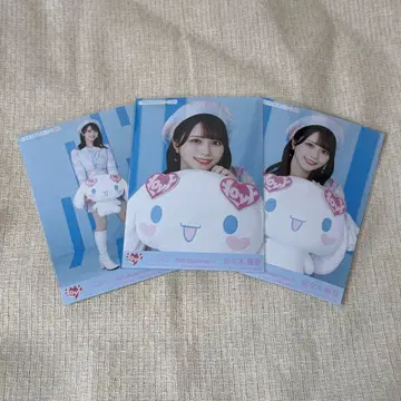 =LOVE 이코러브 사사키 마이카 시나모롤 콜라보 2025 컴프