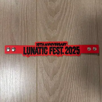 LUNATIC FEST. 2025 러버 밴드