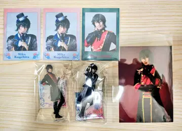 안스테 미카 정리