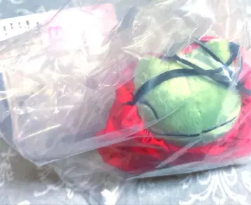 포켓몬 제일복권 복조리 마스코트 E상 미가와리 인형