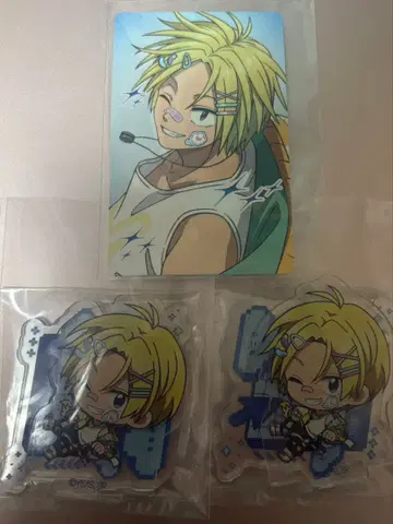 아사쿠라 신 데코라