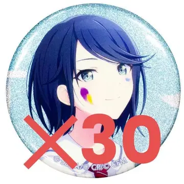 프로세카 호시노 이치카 캔뱃지