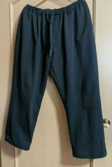 Wide Dad Tech Shade Easy Pants SIZE 1