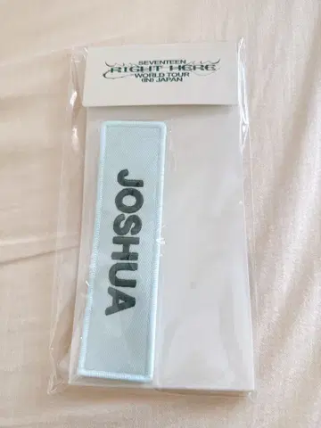 SEVENTEEN RIGHT HERE 조슈아 와펜