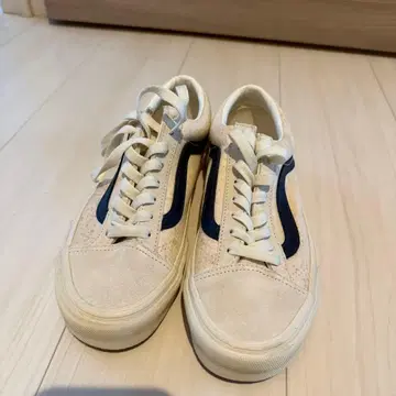 Vans 스타일 36
