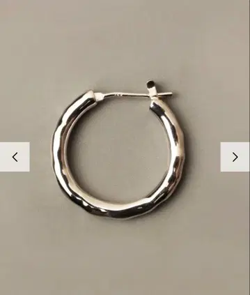 e.m. 귀걸이(1801-AP550)